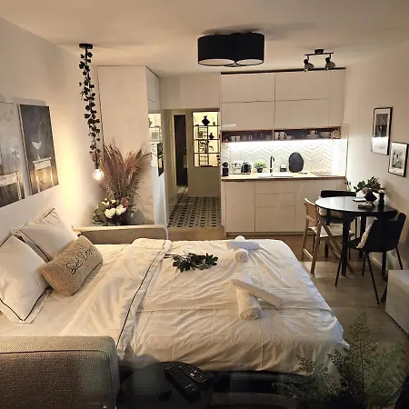 公寓 Design In Old Town-free Parking-balcony 布拉迪斯拉发