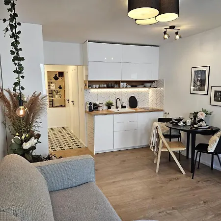 Design In Old Town-free Parking-balcony 公寓 布拉迪斯拉发